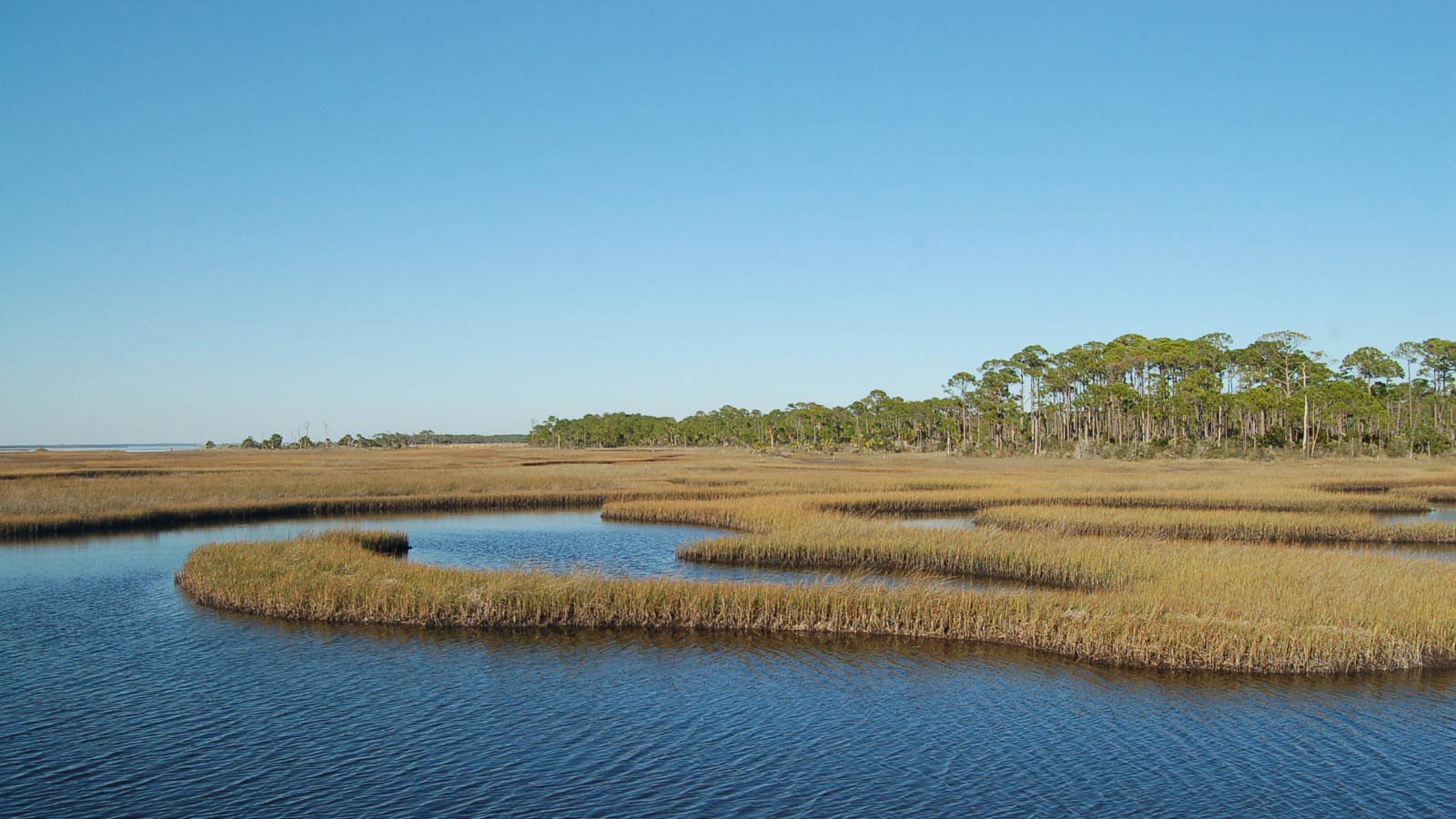 Cape San Blas Vacation Rentals, Cape San Blas, Florida. ~ Gulf Front ...